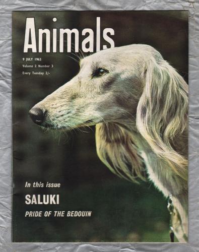 Animals - Vol.2 No.3 - 9 July 1963 - `Saluki - Pride of The Bedouin` - Purnell and Sons Ltd