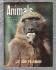 Animals - Vol.2 No.8 - 13 August 1963 - `Hunted Horns` - Purnell and Sons Ltd