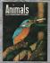 Animals - Vol.2 No.19 - 29 October 1963 - `Voracious Fish of the Amazon` - Purnell and Sons Ltd