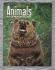Animals - Vol.2 No.21 - 12 November 1963 - `Britain`s Wild Ponies` - Purnell and Sons Ltd
