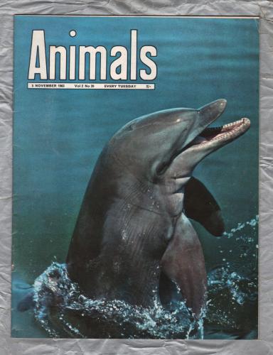 Animals - Vol.2 No.20 - 5 November 1963 - `A Prickly Subject` - Purnell and Sons Ltd