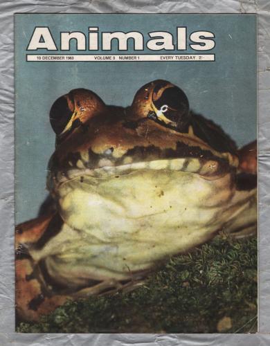 Animals - Vol.3 No.1 - 10 December 1963 - `The Wild Bactrian` - Purnell and Sons Ltd