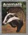 Animals - Vol.3 No.2 - 17 December 1963 - `Training Sheepdogs` - Purnell and Sons Ltd