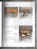 Christie`s - South Kensington Auction Catalogue - `Furniture and Decorative Objects` - London - Tuesday 20th September 2005
