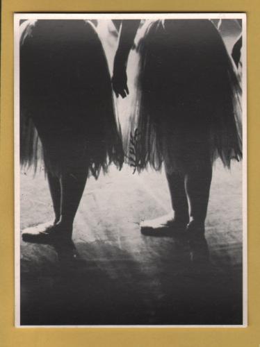 `Shadow Dance - Courtesy Tony Stone Associates` - Postally Unused - Athena Postcard.