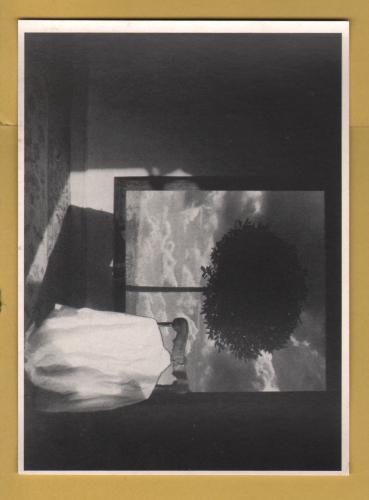 `The Bay Tree by Gary Waters` - Postally Unused - Athena Postcard.