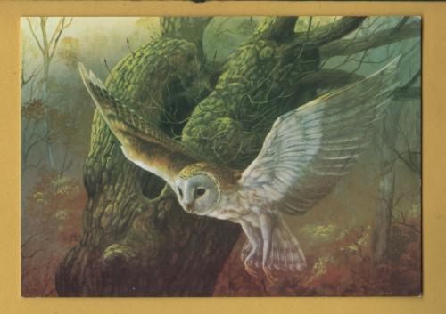 `Owl in Flight by Daphne Baxter` - Postally Unused - The Medici Society Postcard.