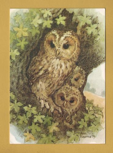 `Tawny Owls and Young by Anne Kearns` - Postally Unused - The Medici Society Postcard.