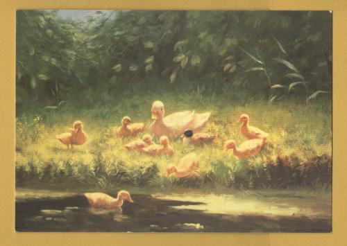 `Ducklings by the River`s Edge by Constant Artz` - Postally Unused - Woman`s Weekly Postcard.
