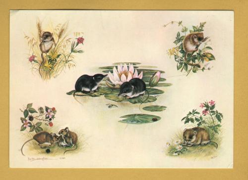 `British Mice by Helen Babington` - Postally Unused - The Medici Society Postcard.