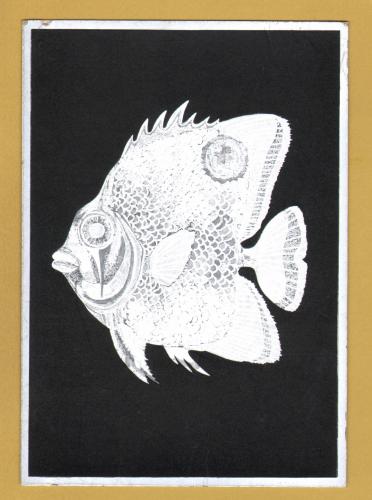 `A Tropical Fish` - Postally Unused - F.J.Warren Postcard.