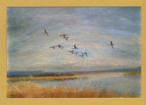 `Teal South Slob, Wexford by Robert Jobson` - Postally Unused (although message written to rear) - Robert Jobson Postcard.