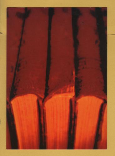 `Richard Jenkins - Photographer` - Postally Unused - Boomerang Media Postcard.