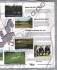 European Golf Design - Summer Bulletin 1995 - `A Memorable Year Of Great Progress` - Published by EGD