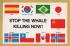 `STOP THE WHALE KILLING NOW!` - Postally Used-1981 - Protest Postcard.