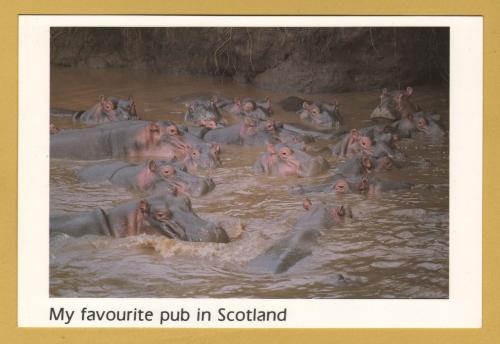 `My Favourite Pub in Scotland - SCOTLAND` - Postally Unused - Images of Britain Postcard.