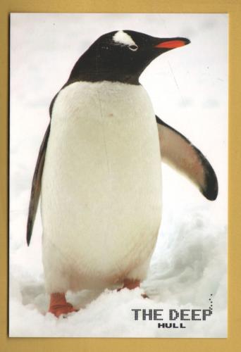 `The Deep - Hull`- Postally Unused - The Deep Postcard.