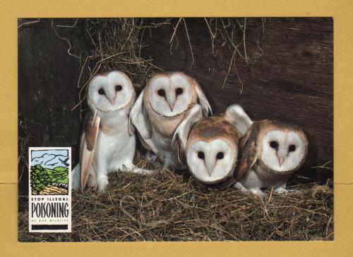 `Stop Illegal POISONING of Our Wildlife - Barn Owl`- Postally Unused - Department of the Environment. Postcard.