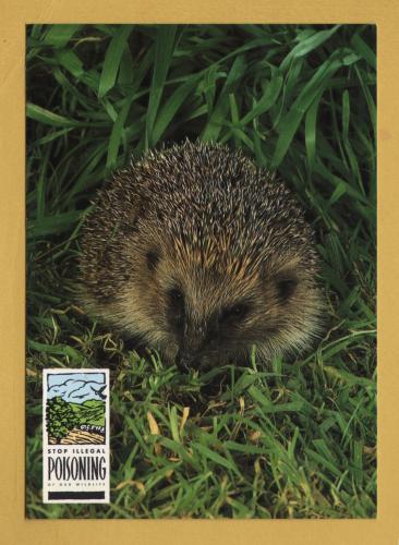 `Stop Illegal POISONING of Our Wildlife - Hedgehog`- Postally Unused - Department of the Environment. Postcard.