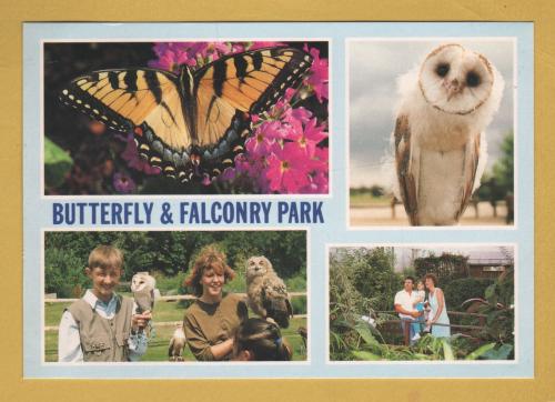 `Butterfly & Falconry - Long Sutton, Spalding`- Postally Unused - J.Arthur Dixon Postcard.