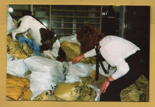 `Drug Dog Inspectorate - H.M. Customs & Excise`- Postally Unused - H.M. Customs Postcard.