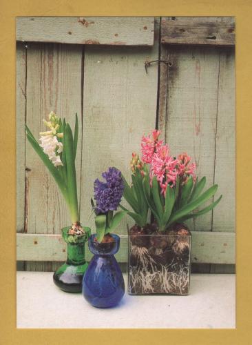 `WOMAN and HOME - Styled by Carolyn Bailey, Photography by Michelle Garrett`- Postally Unused - WOMAN and HOME. Postcard.