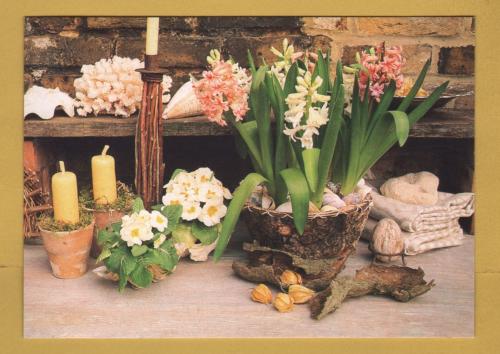 `WOMAN and HOME - Styled by Carolyn Bailey, Photography by Michelle Garrett`- Postally Unused - WOMAN and HOME. Postcard.