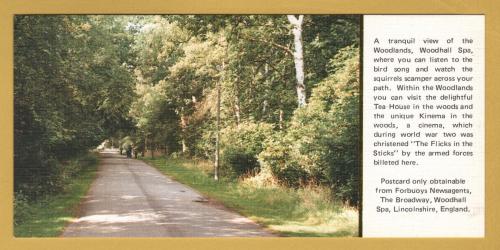 `A Limited Edition Postcard - A Tranquil View of the Woodlands, Woodhall Spa...`- Postally Unused - Noel Tatt Ltd Postcard.
