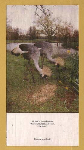 `A Limited Edition Postcard - African Crowned Cranes - Wildfowl & Wetlands Trust - Peakirk`- Postally Unused - Noel Tatt Ltd Postcard.