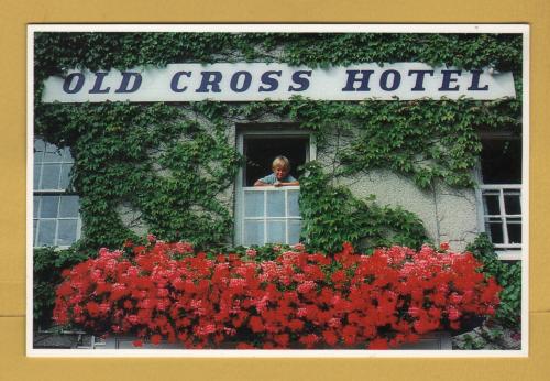 `OLD CROSS HOTEL - Verity at the Window - St David`s`- Postally Unused - Selina Postgate Postcard.