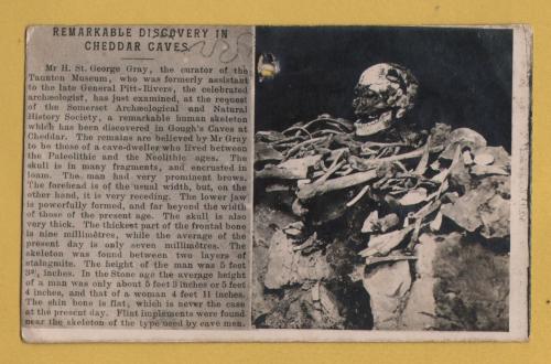 `Remarkable Discovery in Cheddar Caves`- Postally Unused - Chapman & Son Postcard.