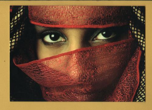 `The AIR MILES Travel Company - `Journeys of the Mind` (Africa)` - Postally Unused (although addressed to rear) - Air Miles Postcard.