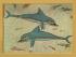 `Heraklion Museum - The Dolphins Fresco from Knossos (1600 B.C)` - Postally Unused - Hannibal Postcard.