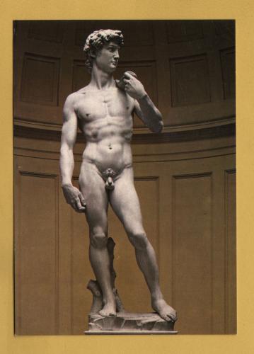 `Florence - Accademia Gallery - Michelangelo: David` - Postally Unused - OVET Postcard.
