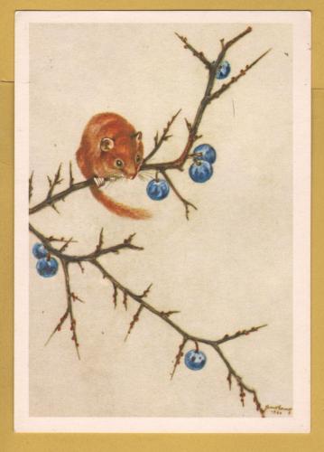 `Haselmaus by Hans Lang` - Postally Unused - Hans Lang Postcard.