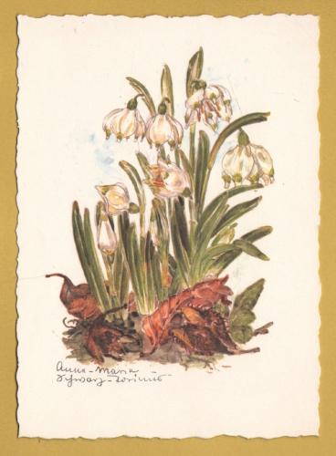 `Plant - Marchcup by Anna Maria Schwarz-Torinus` - Postally Unused - Edition Korsch Postcard.