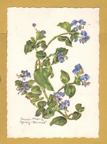 `Plant - Tradescantia by Anna Maria Schwarz-Torinus` - Postally Unused - Edition Korsch Postcard.