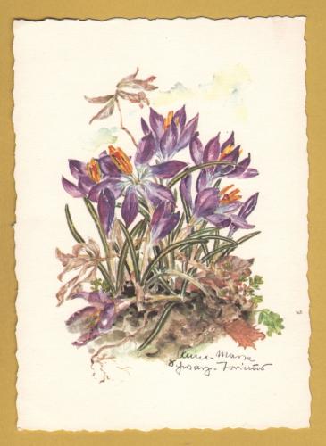 `Plant - Crocus by Anna Maria Schwarz-Torinus` - Postally Unused - Edition Korsch Postcard.