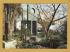 `General View of Garden with Four-square (Walk-through) 1966 - Dame Barbara Hepworth` - Postally Unused - Tate Postcard.