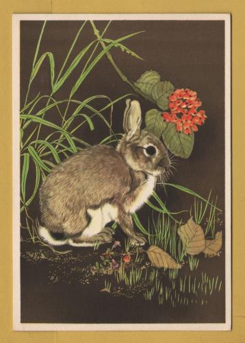 `Young Rabbit and Berries by Maurice Wilson` - Postally Unused - Royle Publications Postcard.