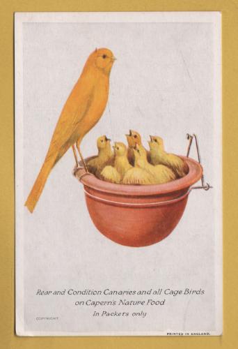 `Caperns - Rear and Condition Canaries and all Cage Birds on Capern`s Nature Food` - Postally Unused - Company Postcard.