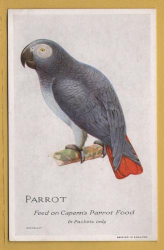 `Caperns - PARROT, Feed on Capern`s Parrot Food` - Postally Unused - Company Postcard.