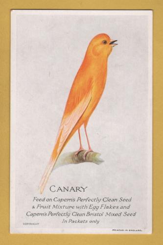 `Caperns - CANARY, Feed on Capern`s Perfectly Clean Seed and Fruit Mixture......` - Postally Unused - Company Postcard.