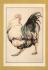 `Strutting Cockerel by Clare Norrington` - Postally Used-1997 - The Jerram Gallery Postcard.