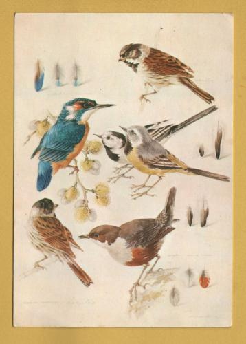 `Waterside Birds by Michael Eldridge` - Postally Unused - The Medici Society Postcard.