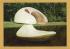 `Kroller-Muller, Rijksmuseum - Polyester Floating Sculpture, `Otterlo` by Marta Pan` - Postally Used-1967 - Museum Postcard.