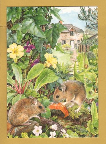 `The Secret Sharer by Rosalind Sanders` - Postally Unused - The Medici Society Postcard.