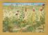 `Chalk Grassland` - Postally Unused - British Museum (Natural History) Postcard.