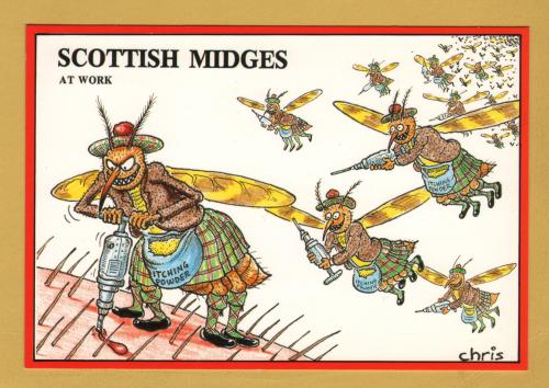 `Scottish Midges at Work by Chris Tyler` - Postally Unused - Exclusive Card Co. Postcard