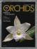 ORCHIDS - September 2007 - Vol.76 No.9 - `SOBRALIA TAXONOMY` - American Orchid Society